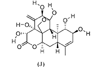 Tongkat Ali formula