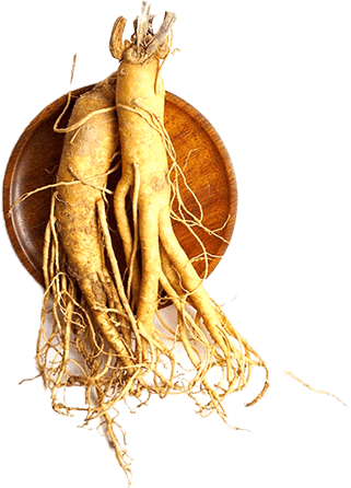 Red Korean Ginseng